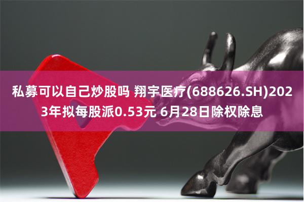 私募可以自己炒股吗 翔宇医疗(688626.SH)2023年拟每股派0.53元 6月28日除权除息