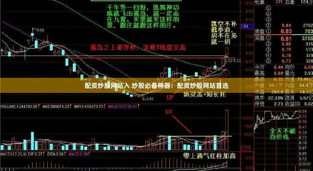 配资炒股网站入 炒股必备神器：配资炒股网站首选