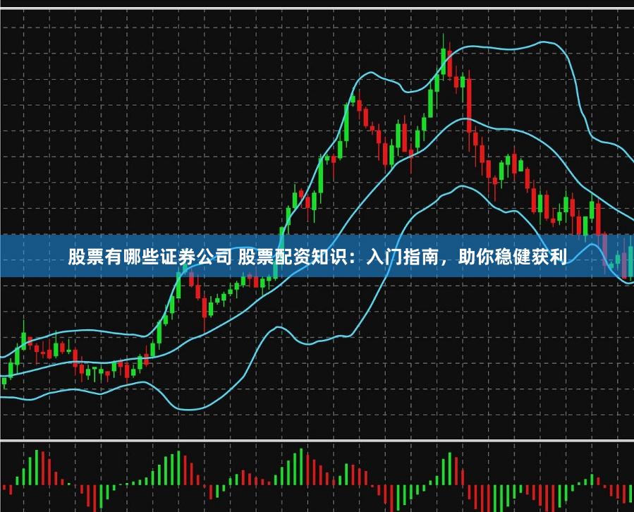 股票有哪些证券公司 股票配资知识：入门指南，助你稳健获利
