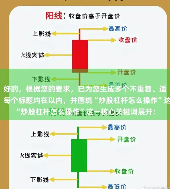 好的，根据您的要求，已为您生成多个不重复、适合SEO收录的标题，每个标题均在以内，并围绕“炒股杠杆怎么操作”这一核心关键词展开：