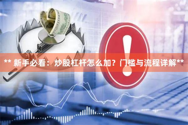 ** 新手必看：炒股杠杆怎么加？门槛与流程详解**