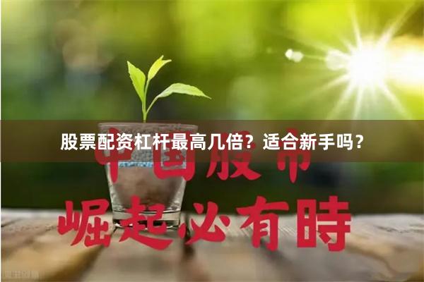 股票配资杠杆最高几倍？适合新手吗？